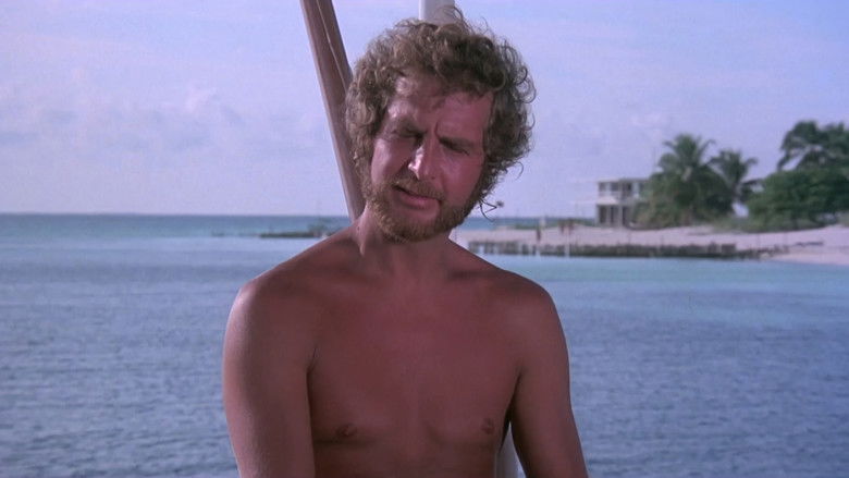 кадр из фильма Тигровая акула