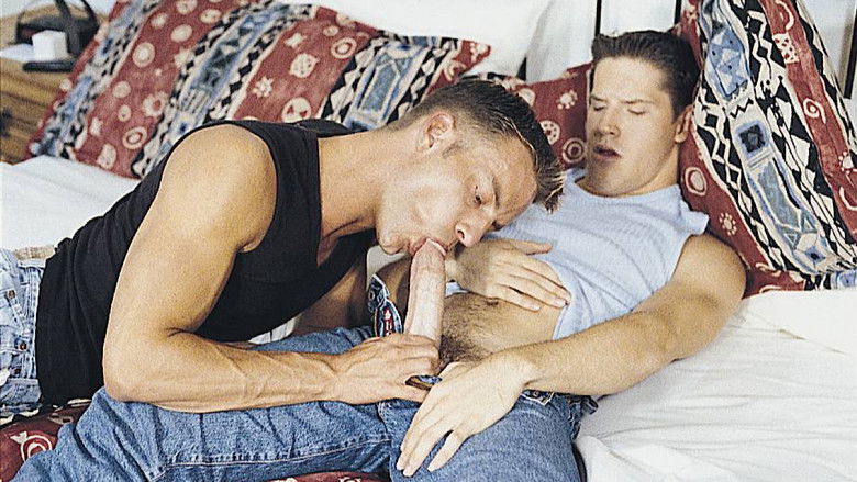 кадр из фильма Aim to Please