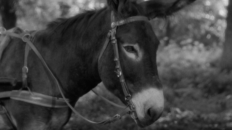 кадр из фильма Наудачу, Бальтазар