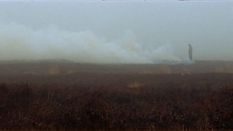 кадр из фильма Crowtrap