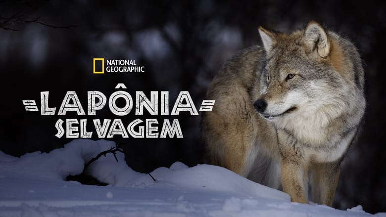 кадр из фильма Wild Lapland