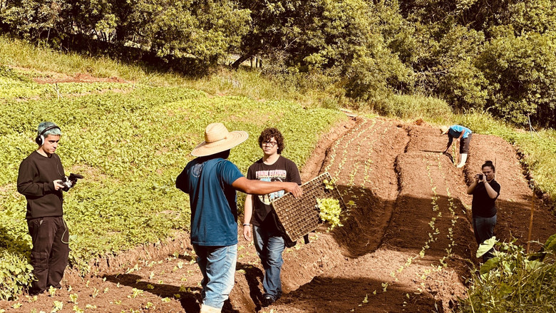 кадр из фильма Terças, Sábados, Domingos