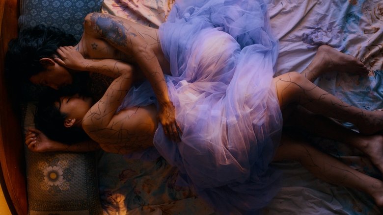 кадр из фильма མོ་གི་གསང་བའི་ཞབས་ཁྲ།།