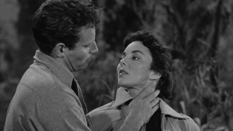 кадр из фильма Ruby Gentry