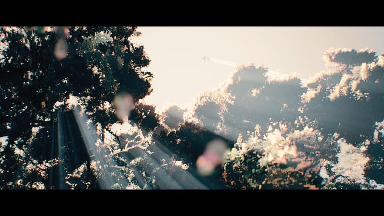 кадр из фильма Andy Shauf - Clove Cigarette