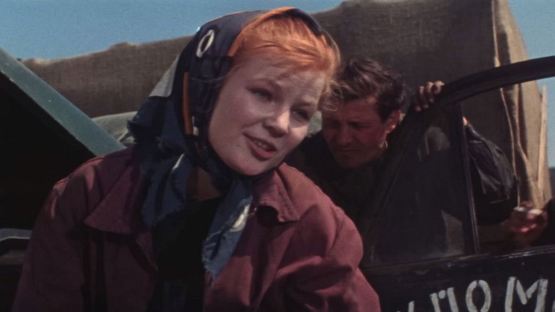 кадр из фильма Таежный десант