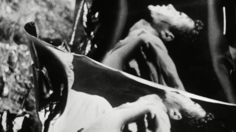 кадр из фильма Fireworks