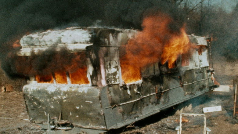 кадр из фильма Розовые фламинго