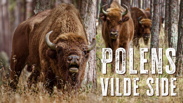 кадр из фильма Poland's Wild East