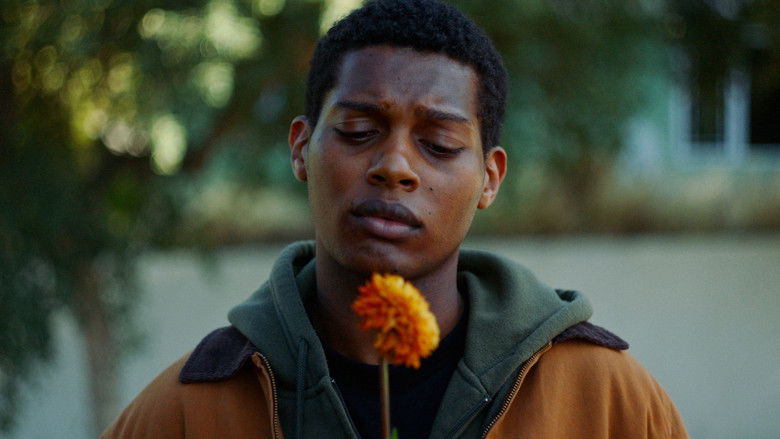 кадр из фильма Panorama