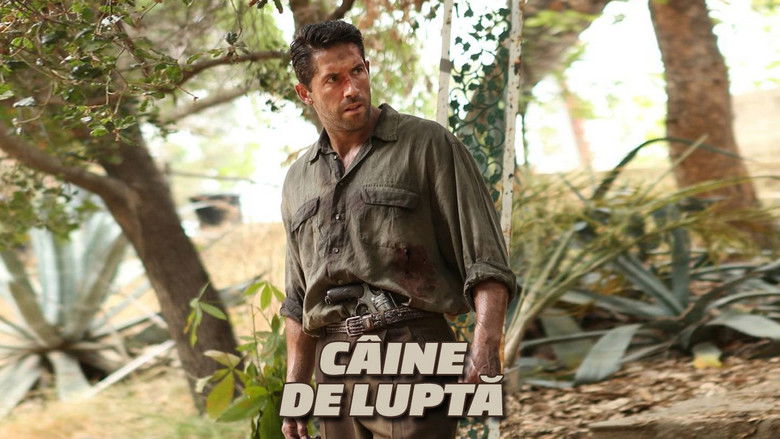 кадр из фильма Дикий пёс