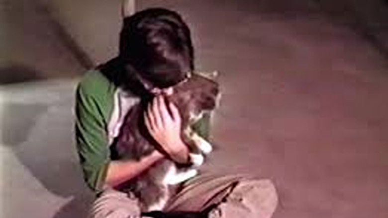 кадр из фильма Hallucinations