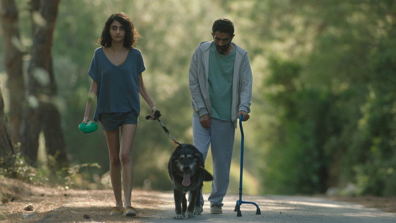 кадр из фильма Герань