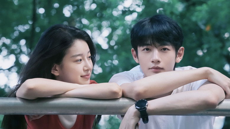 кадр из фильма 偷偷藏不住