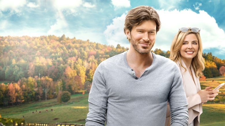 кадр из фильма Там, где сердце (Любовь в тренде)