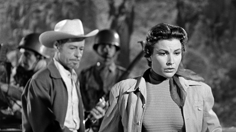 кадр из фильма The Black Scorpion