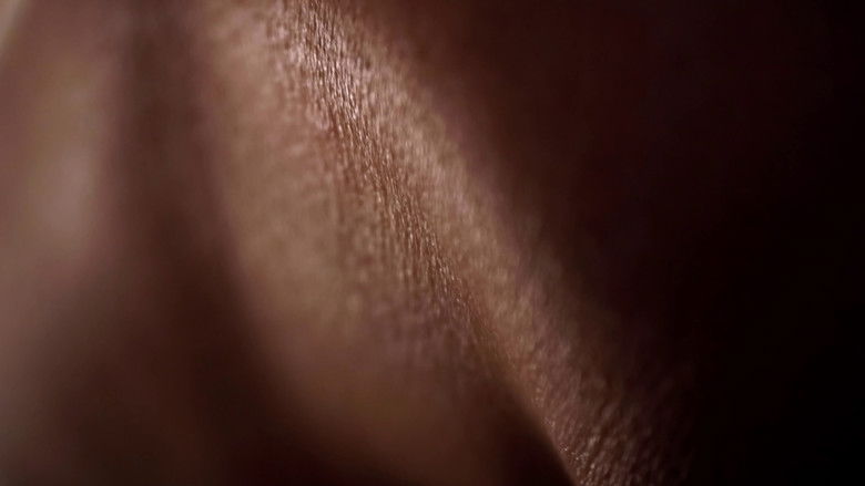 кадр из фильма Les explorations