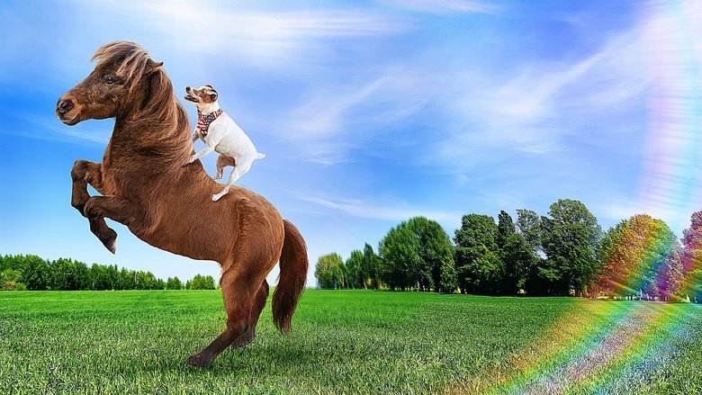 кадр из фильма Приключения Долли и Спанки