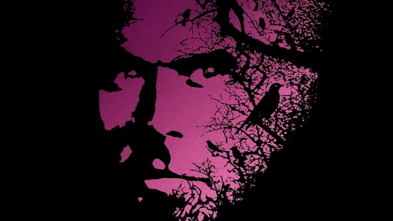 кадр из фильма Тёмная половина