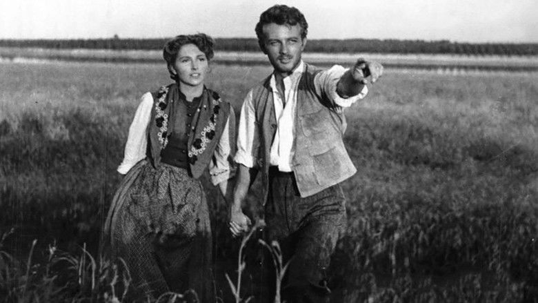 кадр из фильма Il mulino del Po