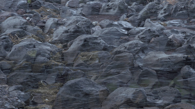 кадр из фильма 돌들이 말할 때까지