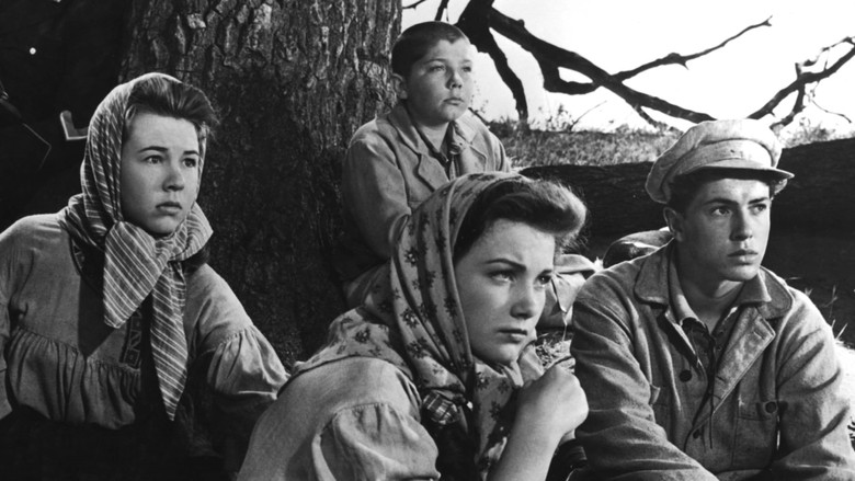 кадр из фильма Северная звезда