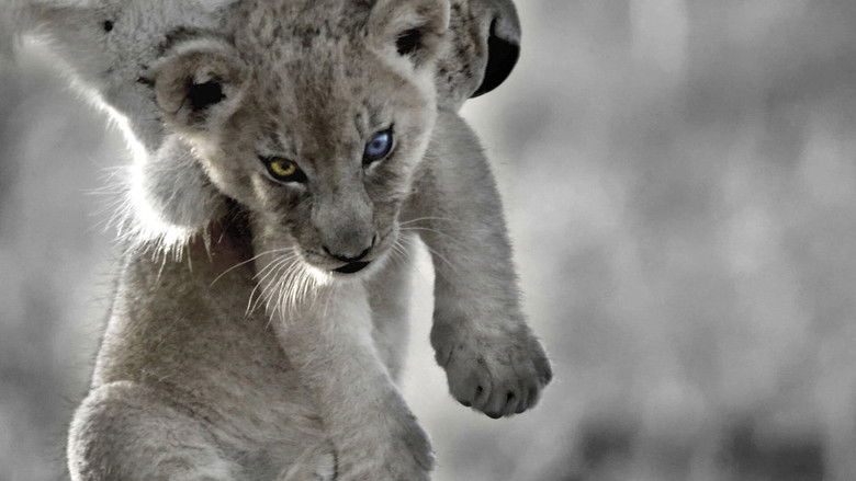 кадр из фильма Le Roi Bâtard