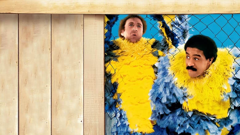 кадр из фильма Буйнопомешанные