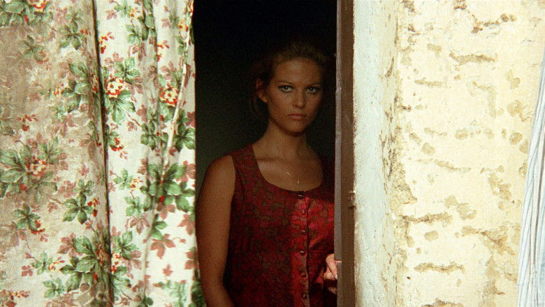 кадр из фильма Сова появляется днём