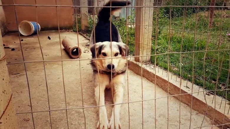 кадр из фильма Natureza