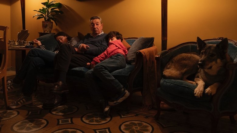 кадр из фильма Come ti muovi, sbagli