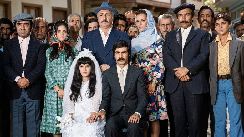кадр из фильма Düğün