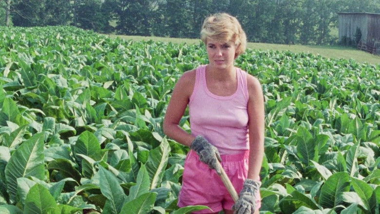 кадр из фильма Alien Outlaw