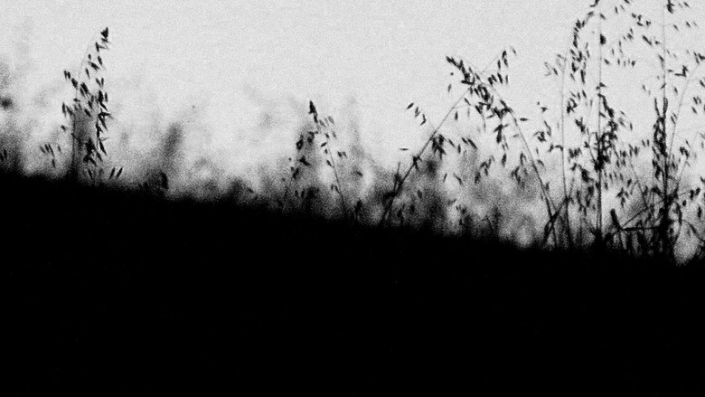 кадр из фильма MIRTILLO - numerus I