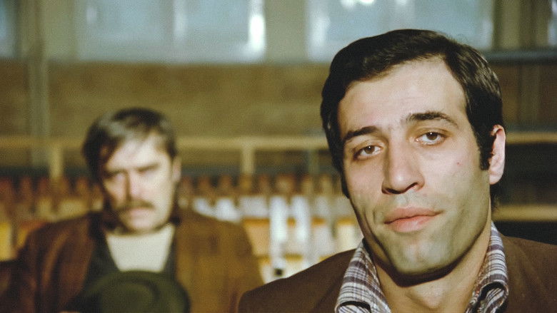 кадр из фильма Любопытный продавец галушек