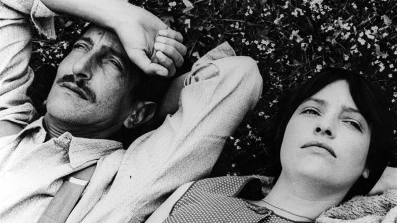 кадр из фильма Jean-Luc Persécuté