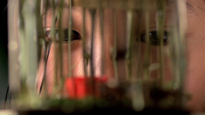 кадр из фильма Аромат зеленой папайи