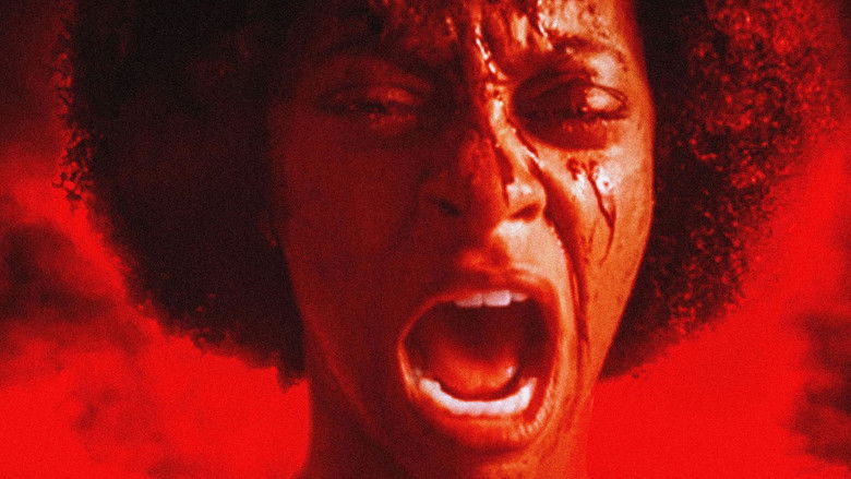 кадр из фильма The Plantation