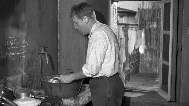 кадр из фильма Ноэль Фортюна