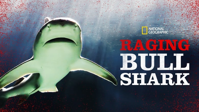 кадр из фильма Raging Bull Shark