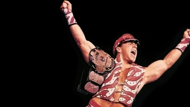 кадр из фильма WWE SummerSlam 1996