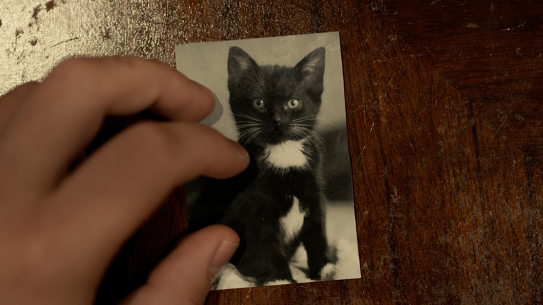 кадр из фильма Toxoplasma