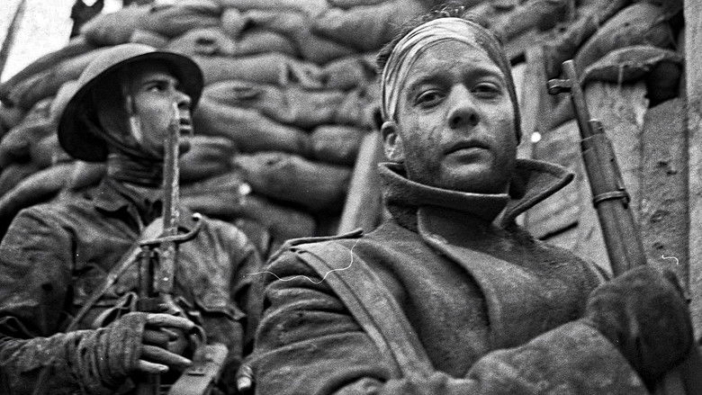 кадр из фильма 11.11.18