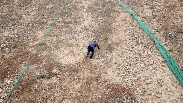 кадр из фильма 삽질