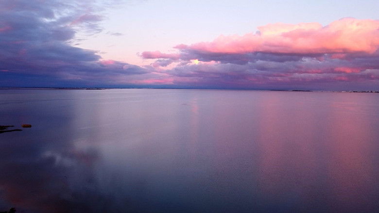 кадр из фильма Tra la Terra ed il Mare