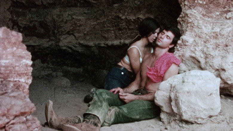 кадр из фильма The Female Bunch