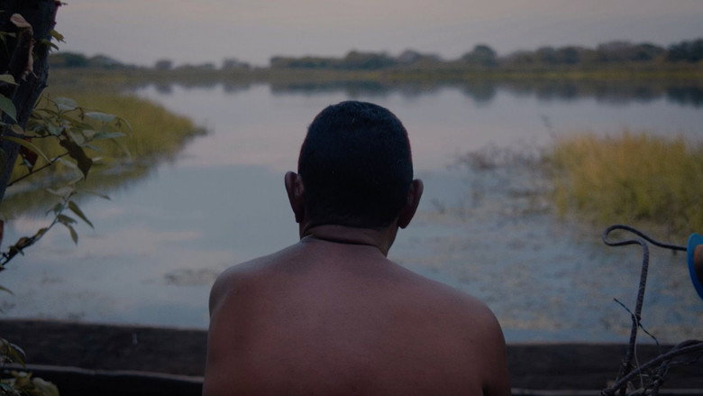 кадр из фильма Аудио и аллигатор