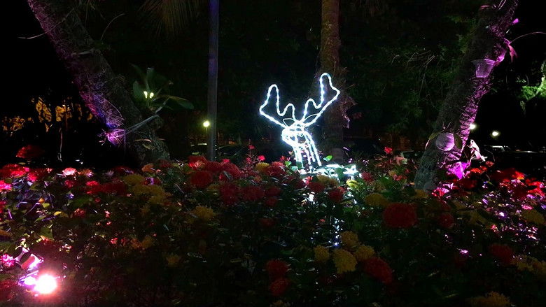 кадр из фильма Protocolo Spikes