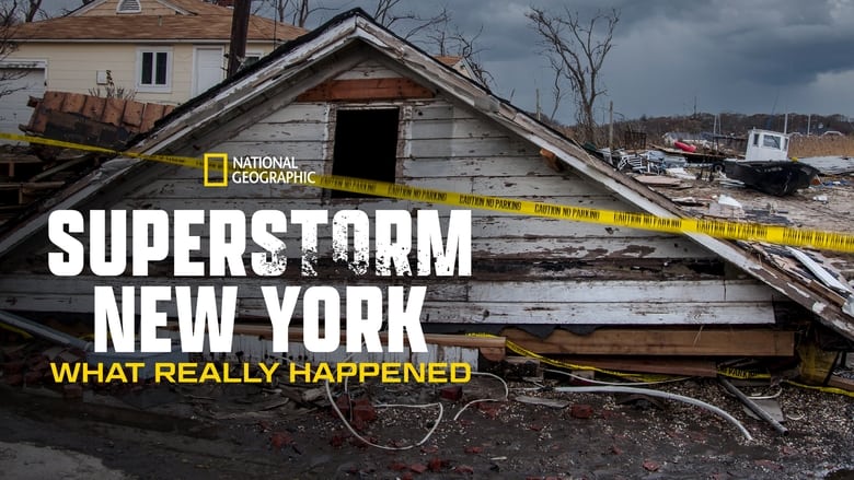кадр из фильма Superstorm New York: What Really Happened