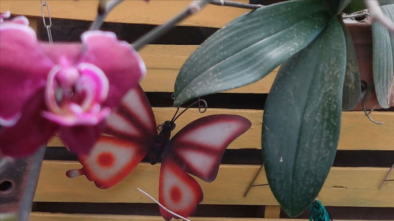 кадр из фильма Igual a uma Borboleta